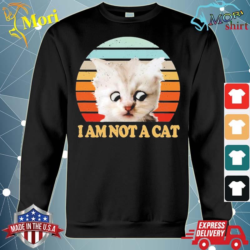 I am not a cat lawyer digital conference retro sunset s hoodie